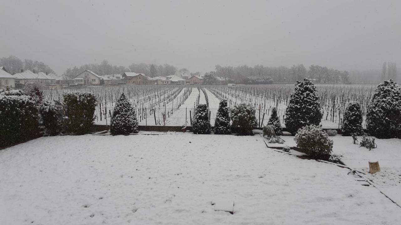 Aux Pieds Des Vignes Bed & Breakfast Ingersheim Eksteriør bilde